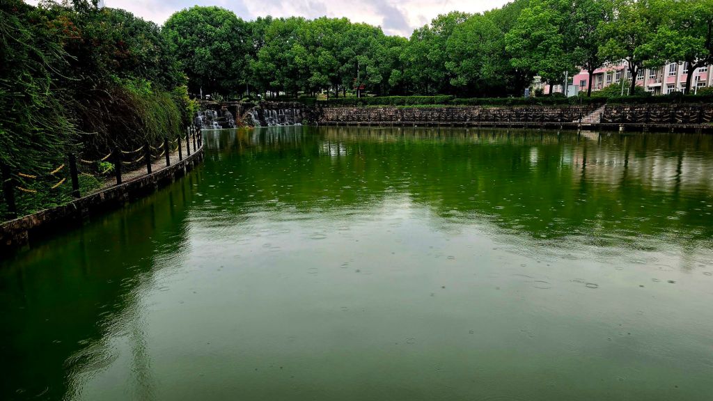 One of the many man made ponds that meander through the campus.