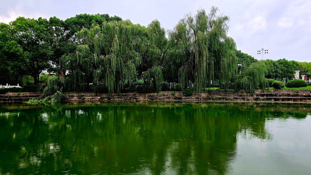 The campus looks to be designed for flooding. It is near a large river but I haven't gone to see it yet.